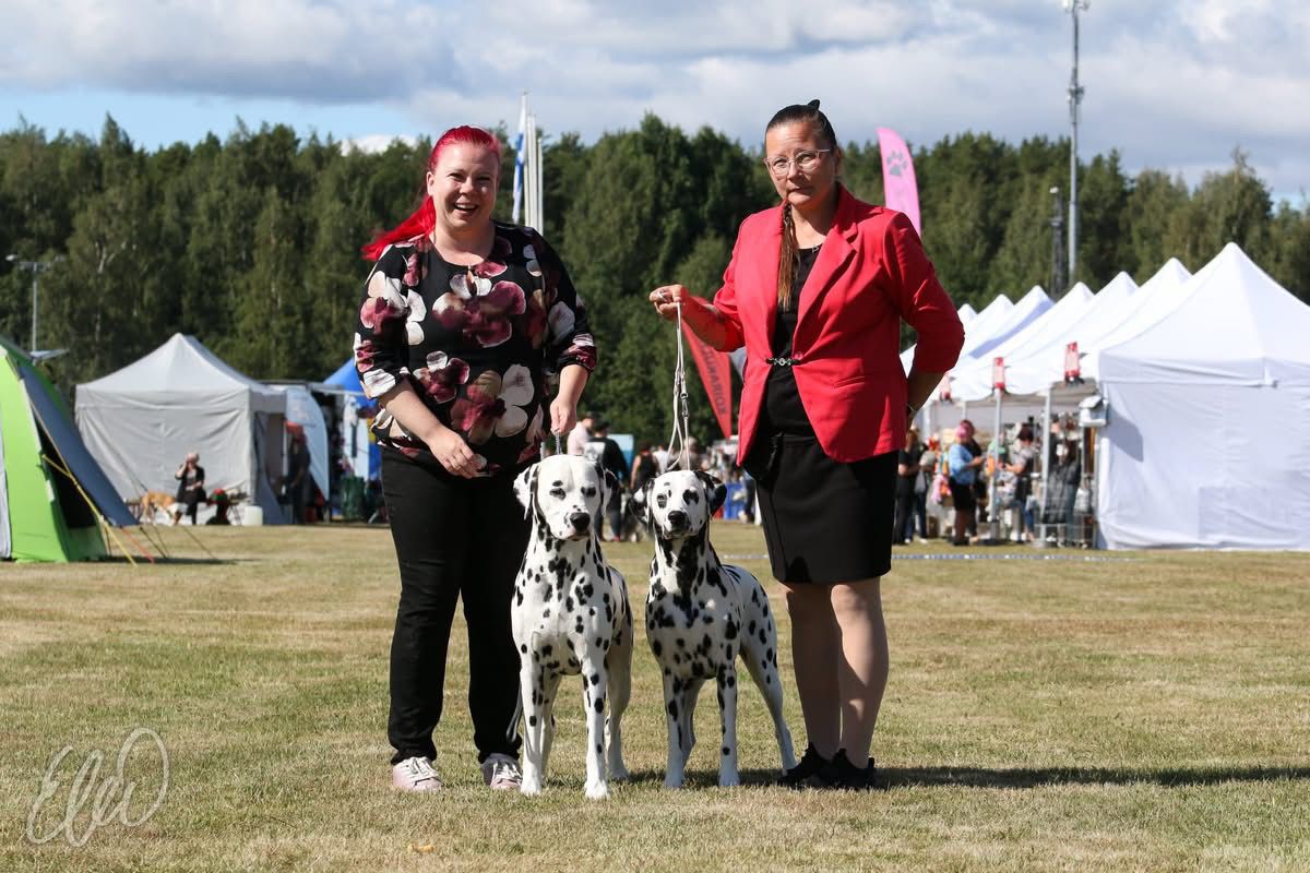 Sisarukset Antti ja Veera (M-Z Rules Of The Game & Run Before You Can Walk)