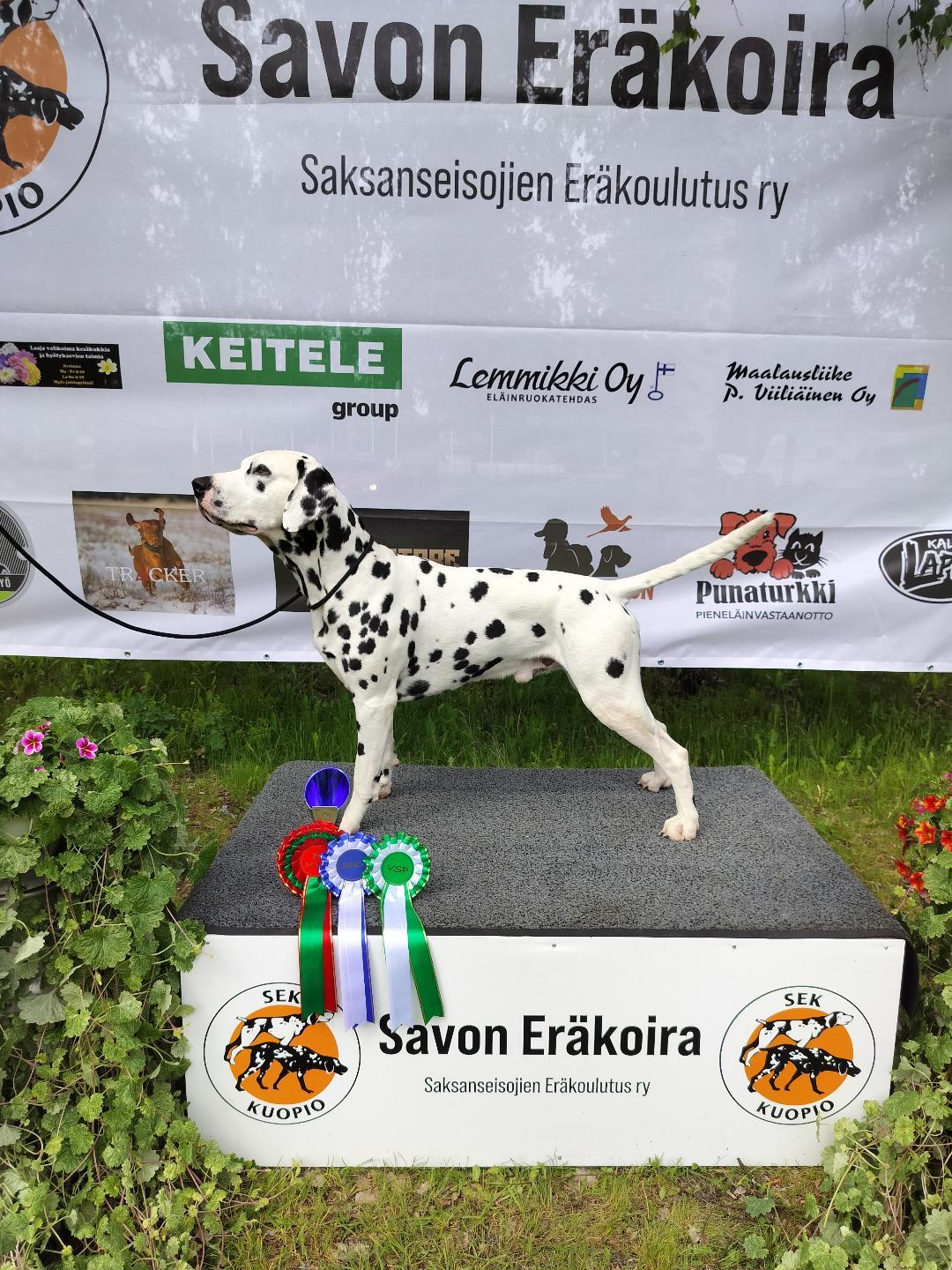 Kuva: Satu Hynninen